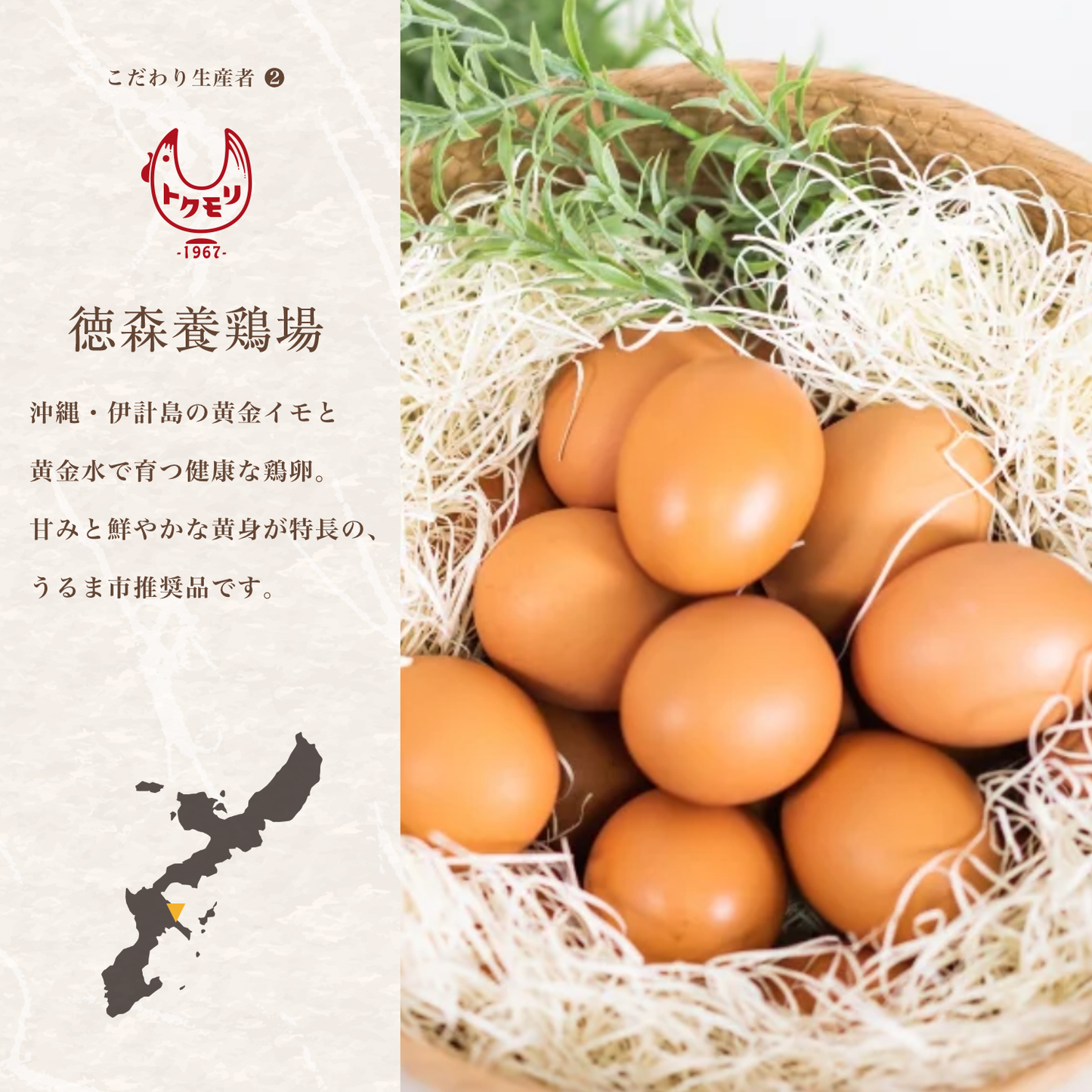 沖縄のこだわり卵とうま藻だし醤油