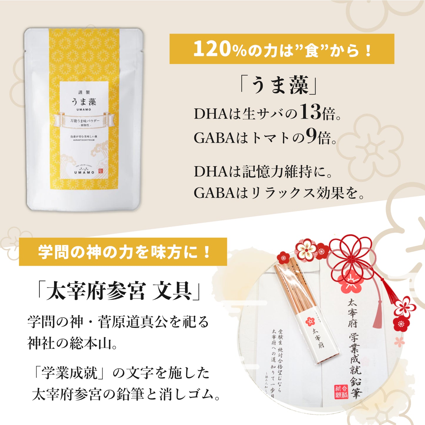 【限定15セット】受験生応援セット -120％の実力を発揮するために-